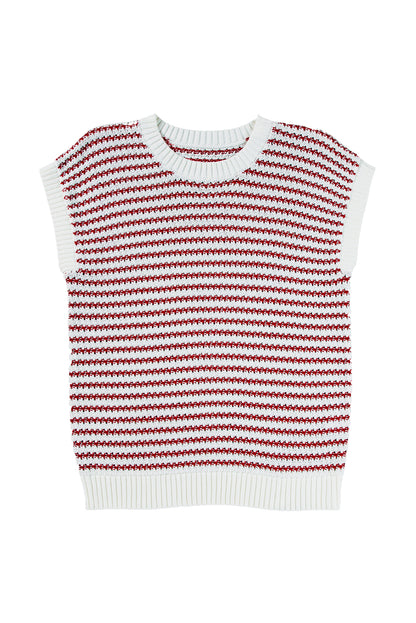 Black Stripe Contrast Trim Knit Dolman Top