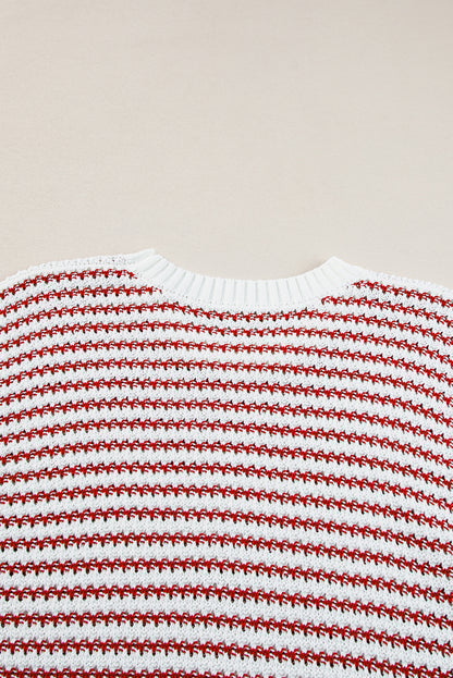 Black Stripe Contrast Trim Knit Dolman Top